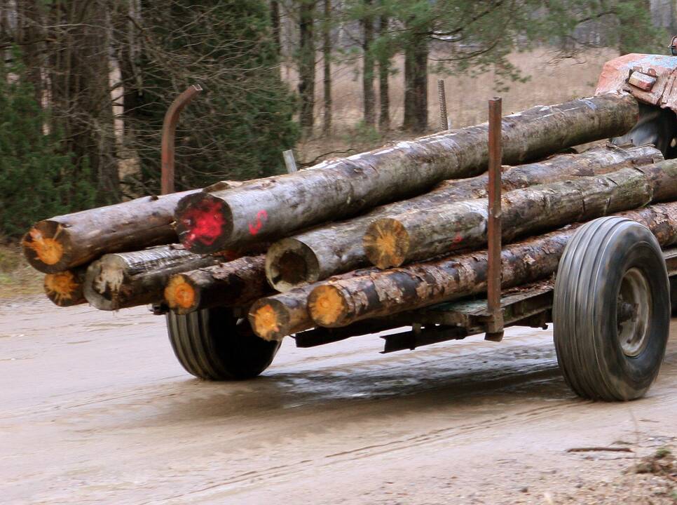 Vežėjai piktinasi draudimo paslaugų kaina