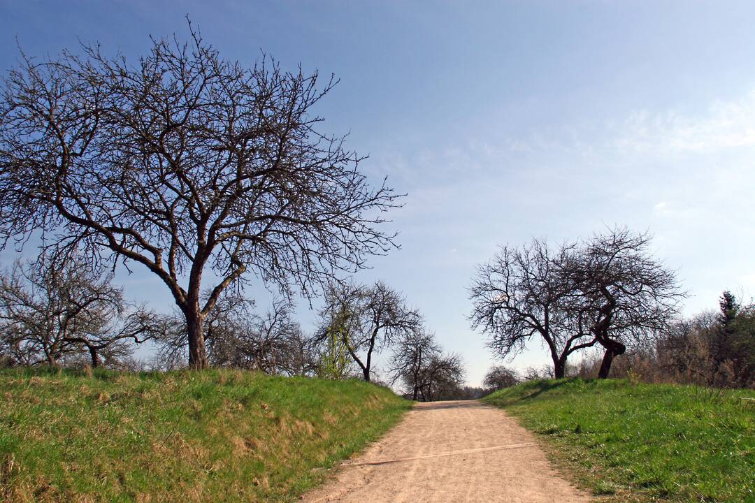 Žemės pirkimo saugiklių kontrolė palikta notarams