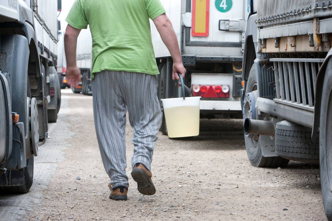 Susisiekimo viceministras: nebeliks kliūčių įdarbinti trečiųjų šalių vairuotojus