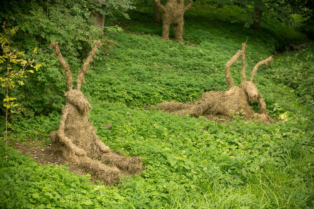 Į „Žvalumo dieną“ – pasisemti sveikos gyvensenos patirties (žemėlapis, programa)