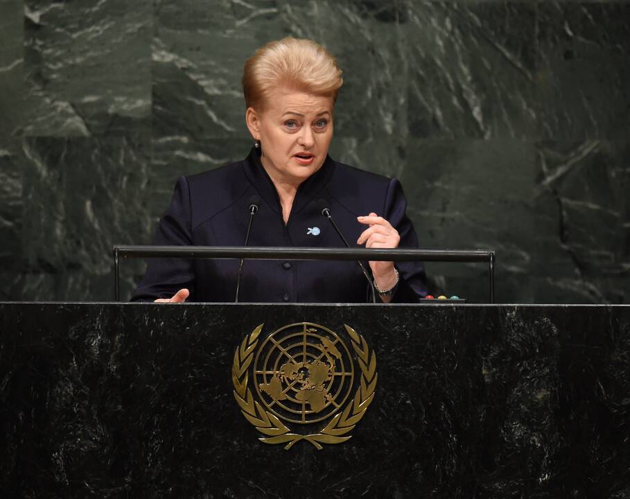 D. Grybauskaitė: tikėti Rusijos nuoširdumu labai sunku