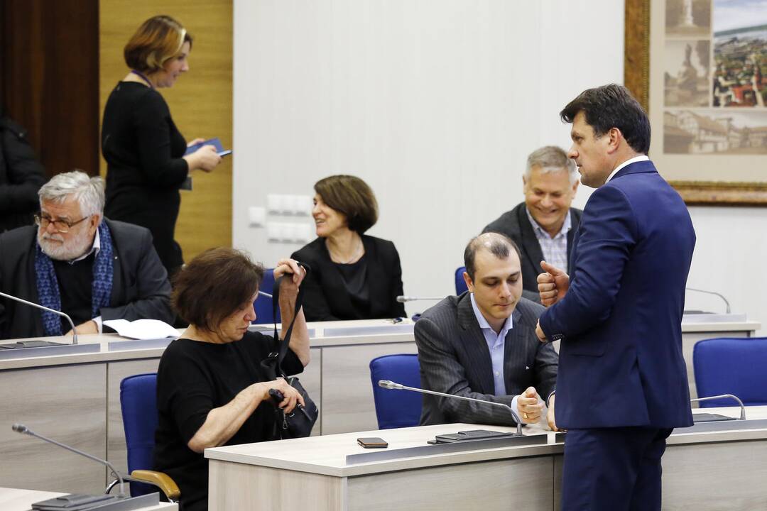 Pristatytas Danės skvero projektas