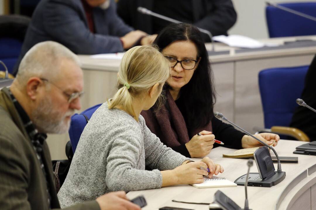 Pristatytas Danės skvero projektas