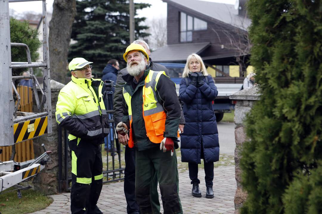Kalėdinės eglutės atvežimas į Teatro aikštę