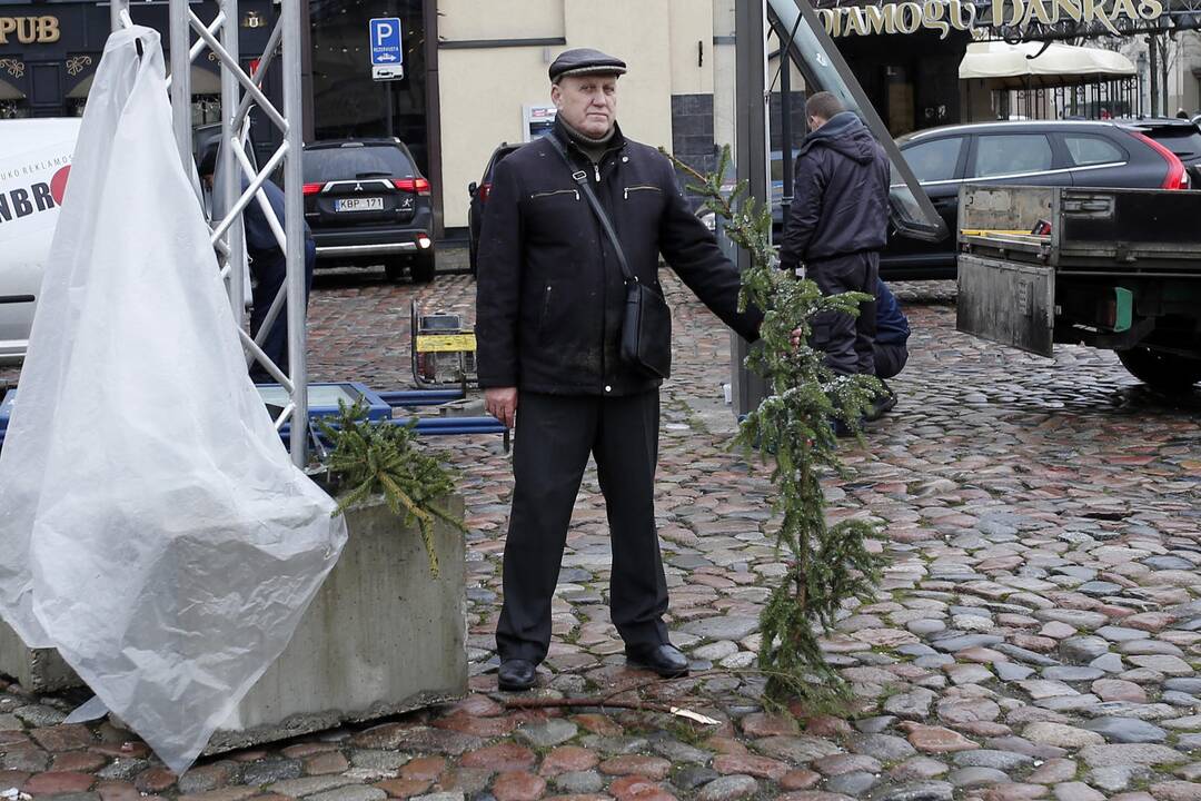 Teatro aikštėje dalinamos eglutės šakos