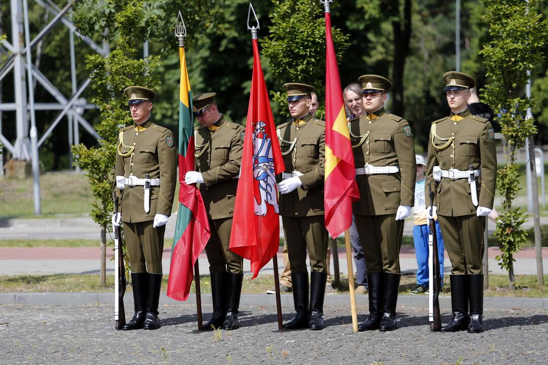 Lietuvos kariuomenės sausumos pajėgų diena