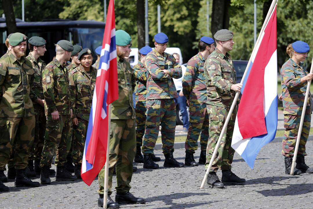 Lietuvos kariuomenės sausumos pajėgų diena