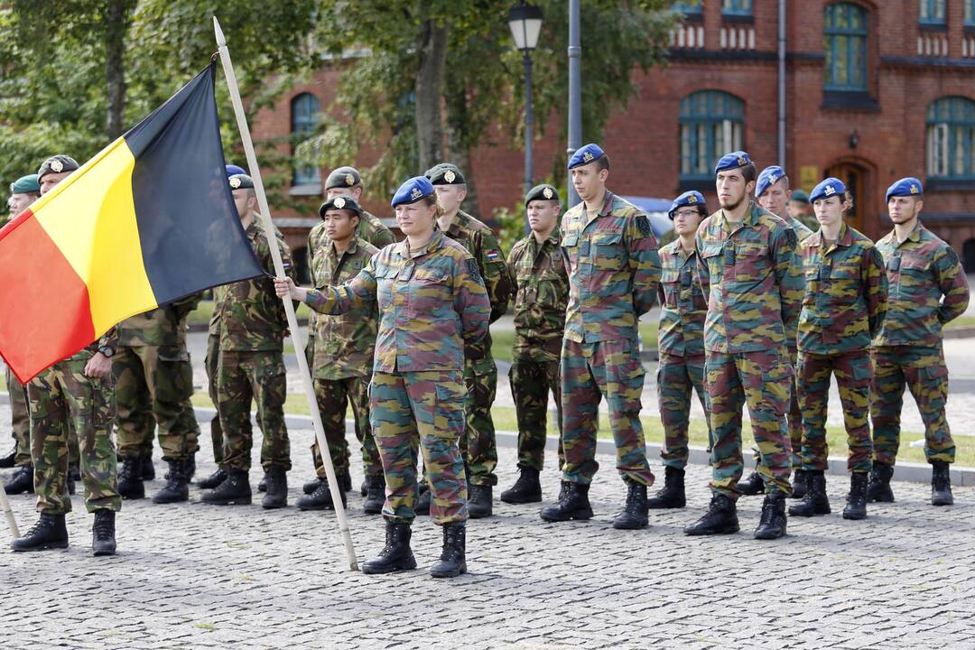 Lietuvos kariuomenės sausumos pajėgų diena