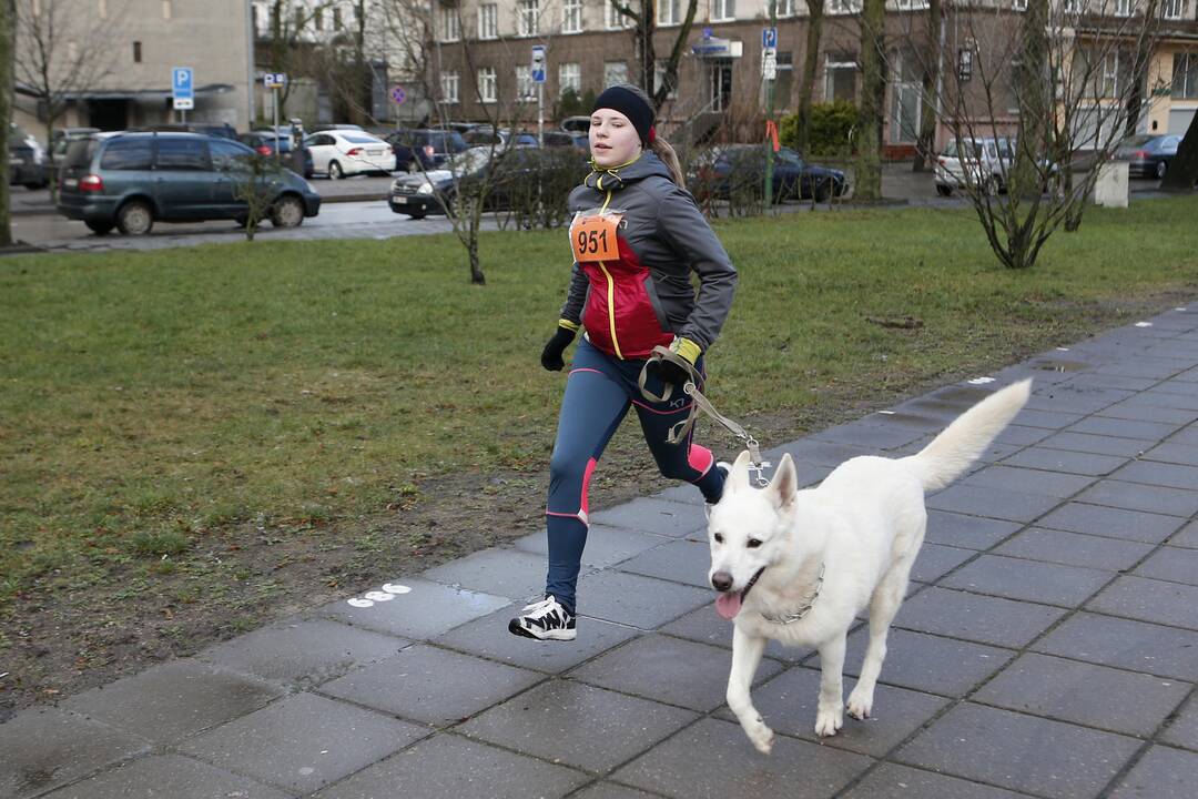 Bėgimas "Padovanok senjorams Kalėdas"