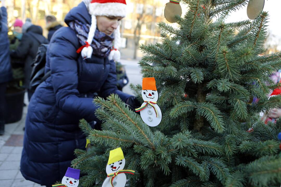 100 eglučių Atgimimo aikštėje puošimas
