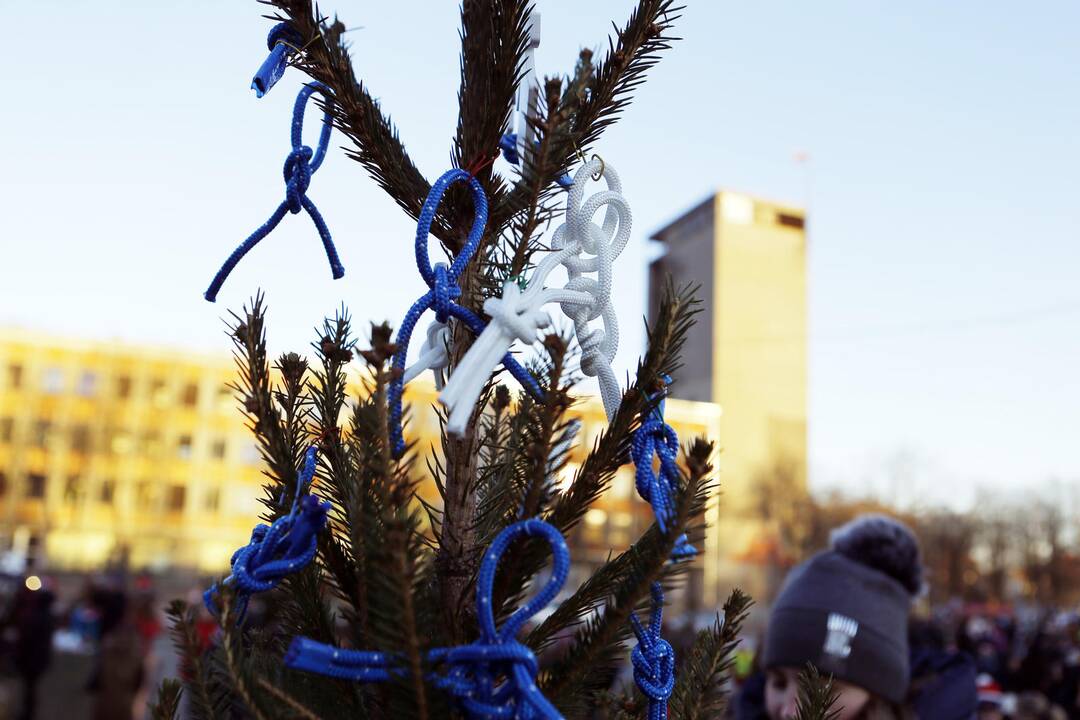 100 eglučių Atgimimo aikštėje puošimas