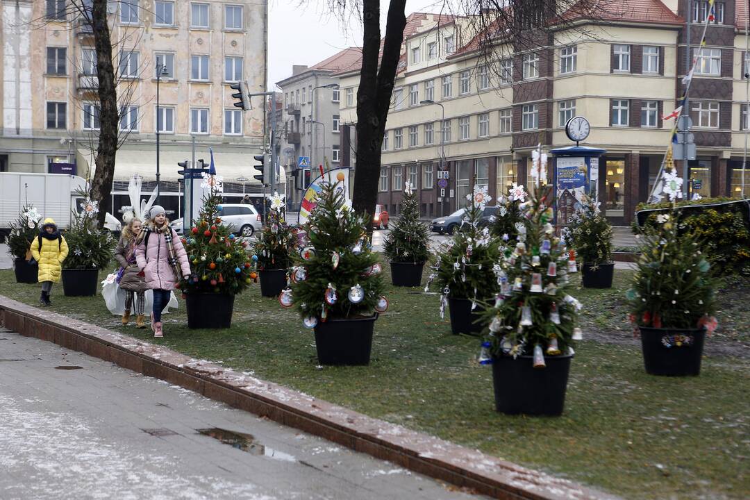 100 eglučių papuošė atgimimo aikštę