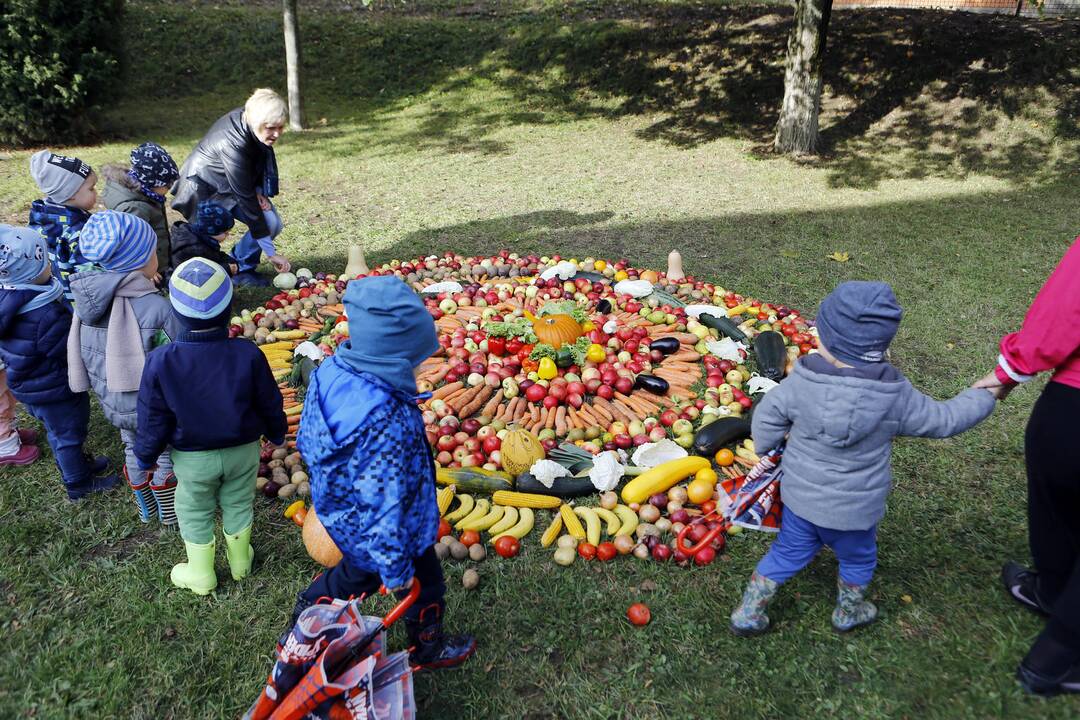 Darželiui "Dobiliukas" padovanotas šiltnamis
