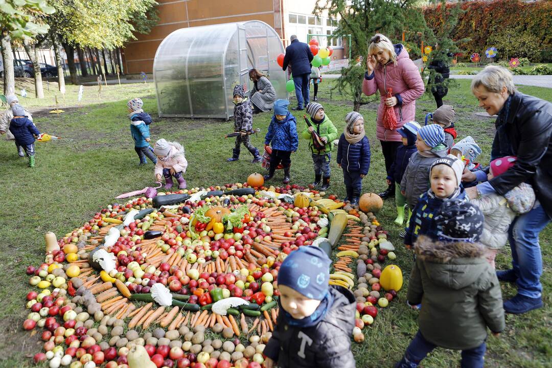 Darželiui "Dobiliukas" padovanotas šiltnamis