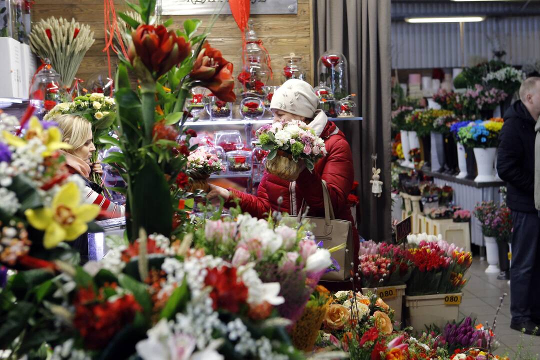 Uostamiesčio moterims – tulpių žiedai