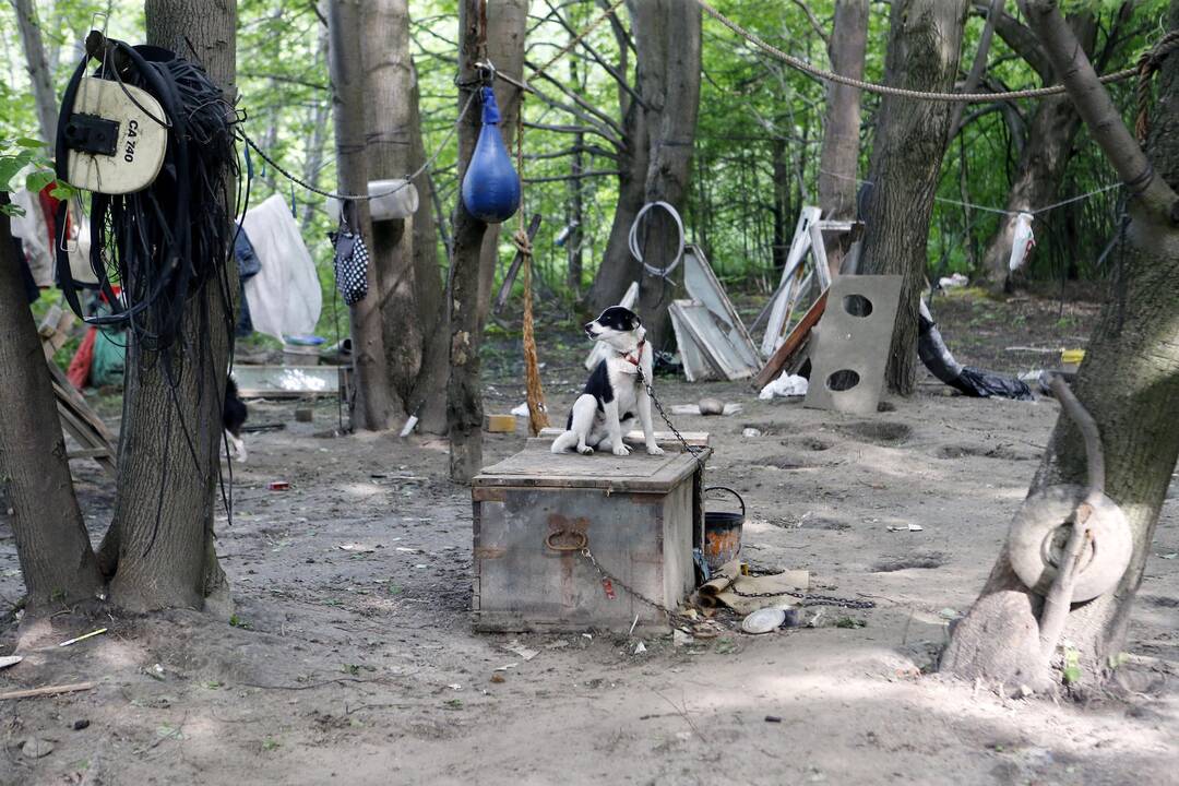Griaunamas benamių kaimelis