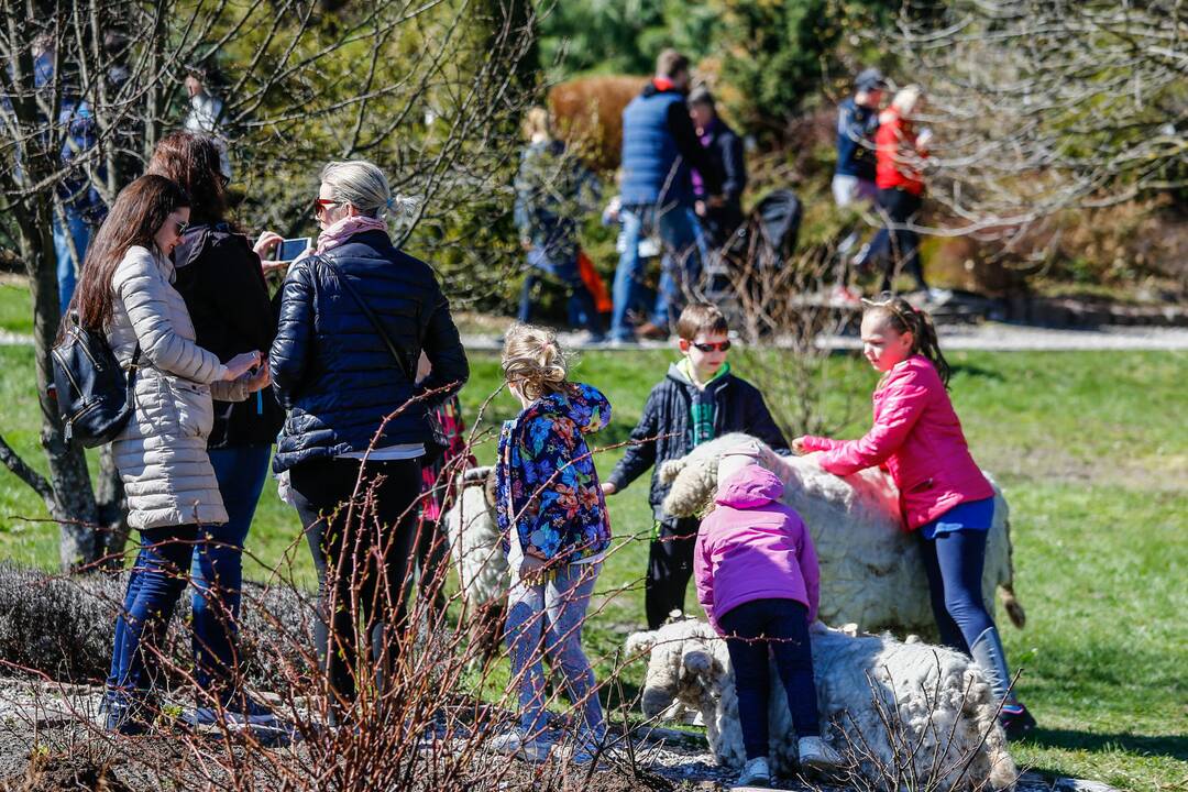 Botanikos sode - Pasaulinė Motinos Žemės diena