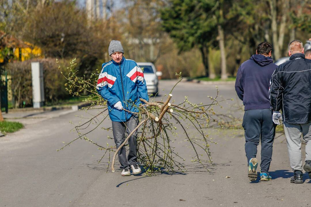 Darom 2018 Klaipėdoje