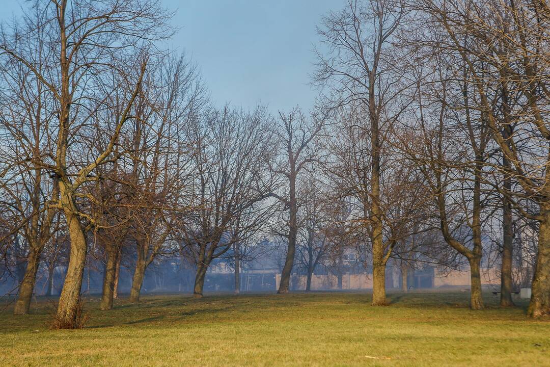 Liepsnoja KLASCO sandėliai