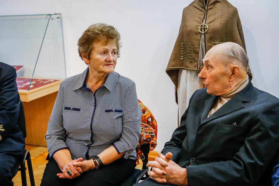 Dionyzo Varkalio jubiliejinė paroda