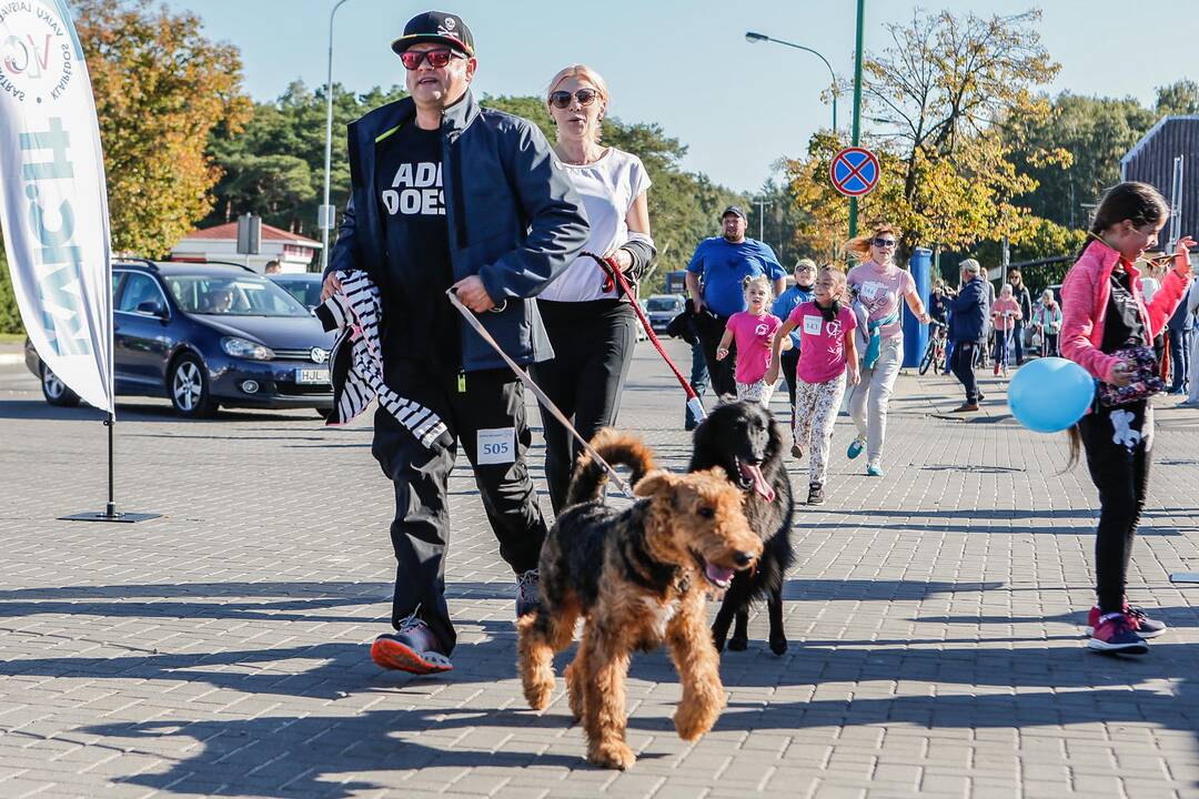 Šeimos pramogų uostas 2017