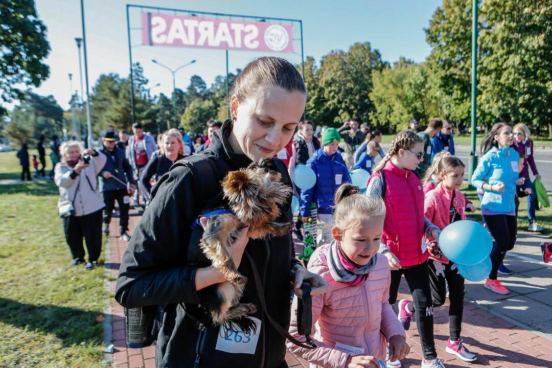 Šeimos pramogų uostas 2017