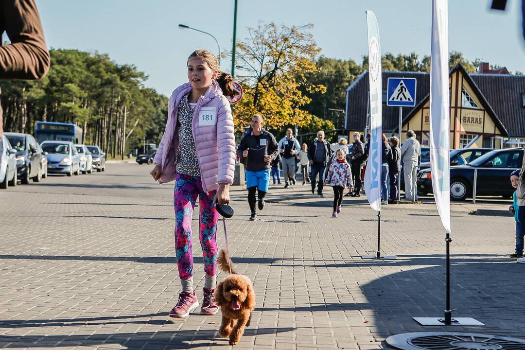 Šeimos pramogų uostas 2017