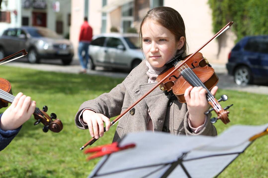 Gatvės muzika 2016