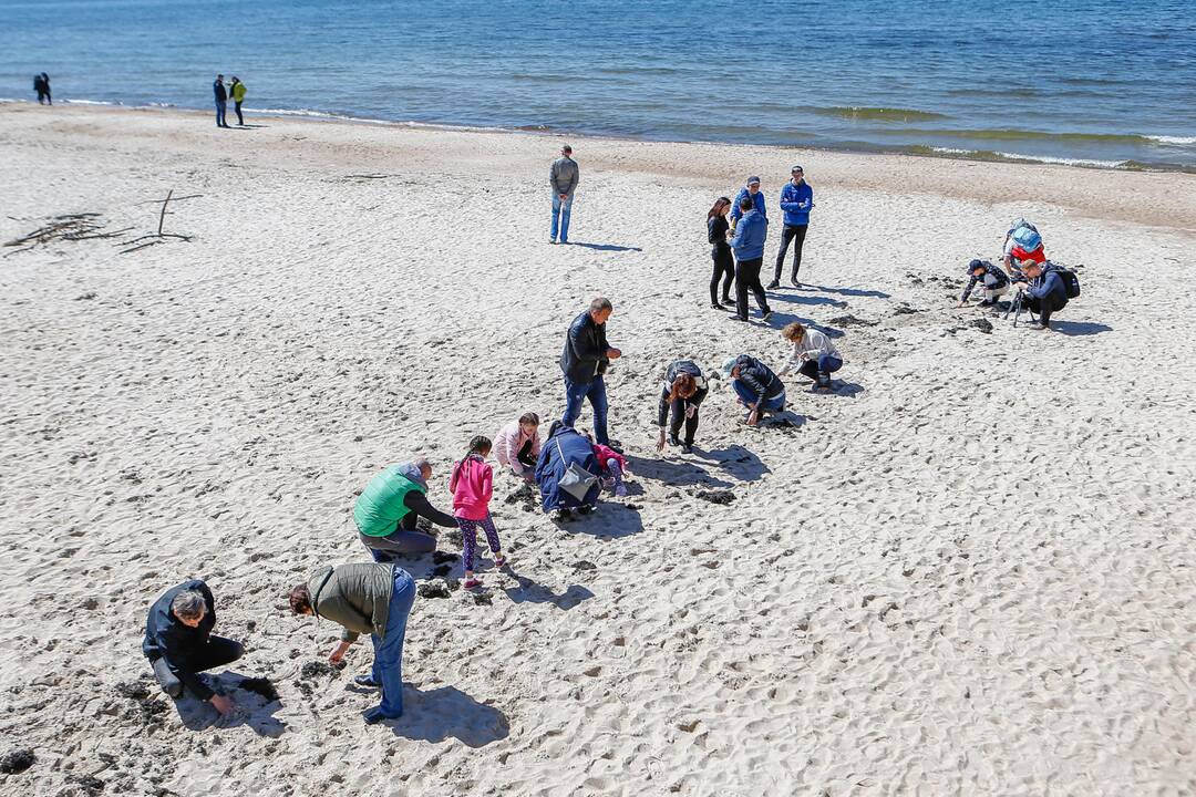 Palangoje – tradicinis gintarinis savaitgalis