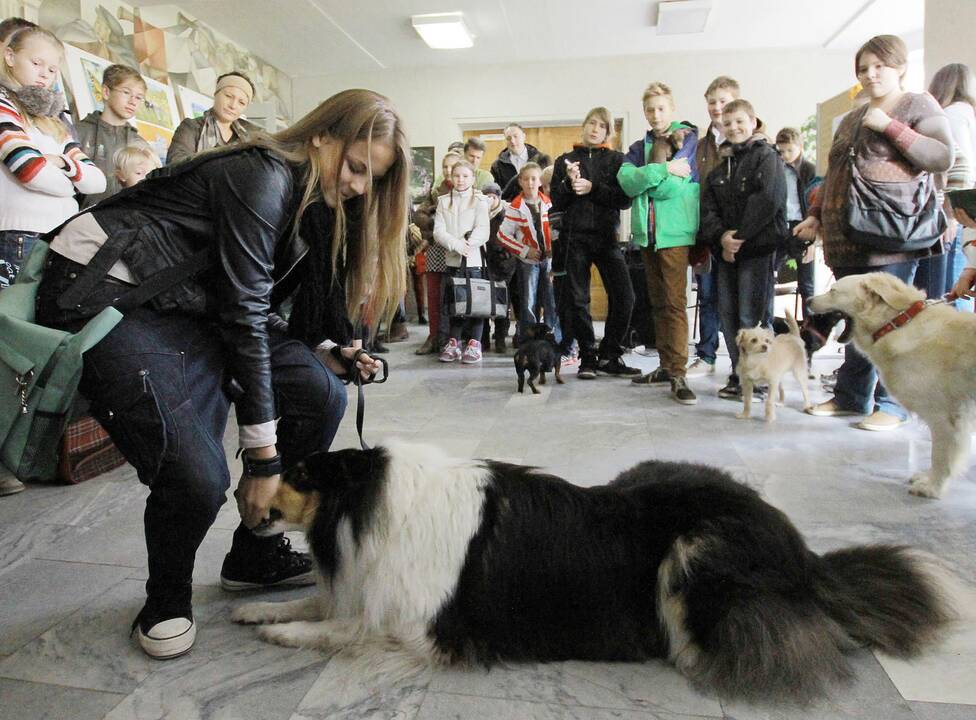 Diena, kai galima į mokyklą atsivesti augintinį