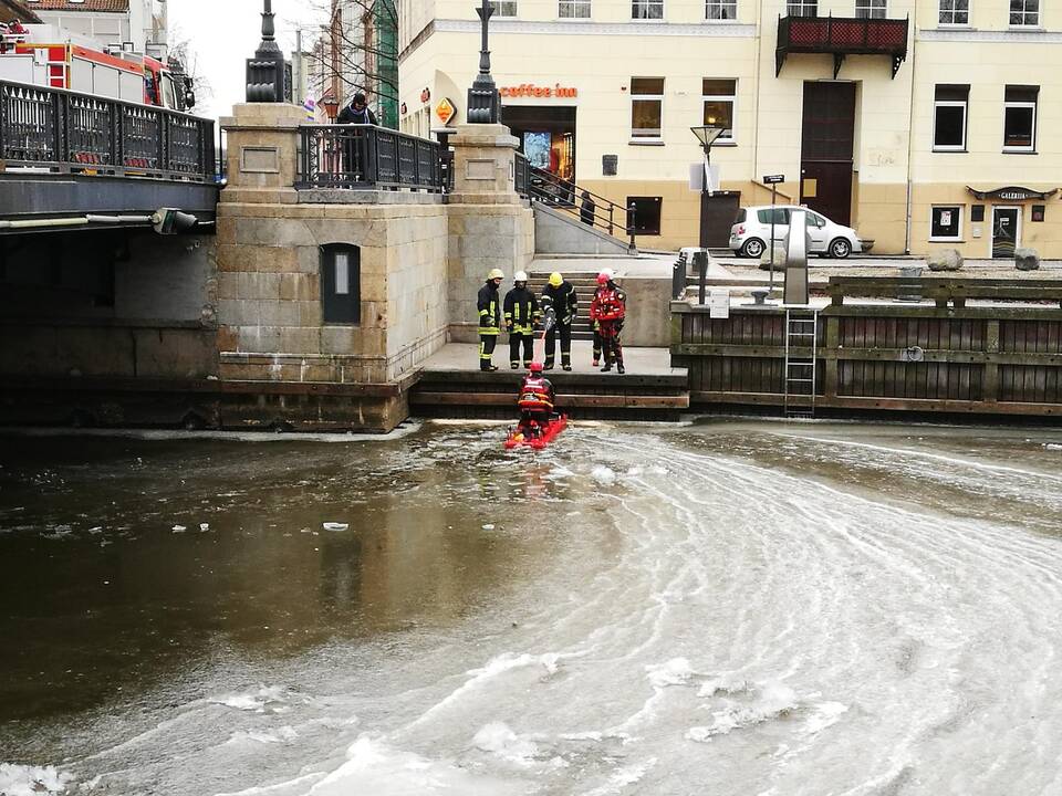 Gulbės gelbėjimas