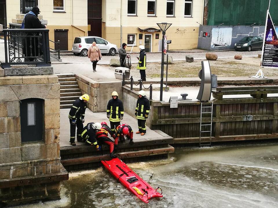 Gulbės gelbėjimas
