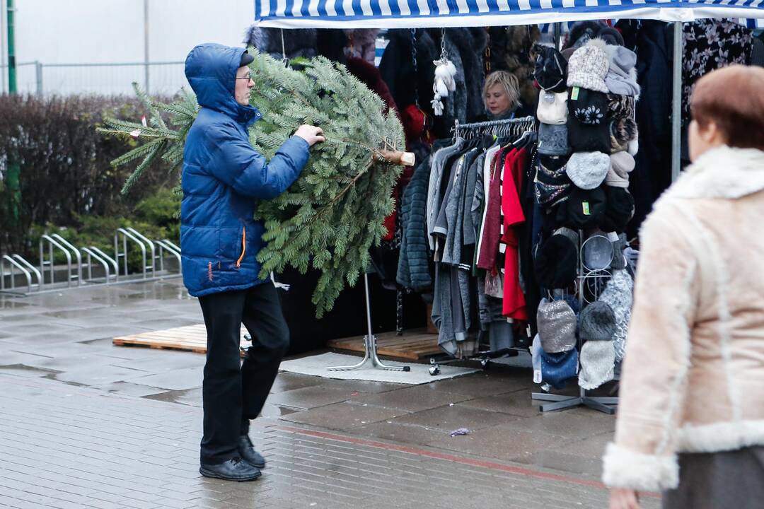 „Mėmelio mugė“ Naujajame turguje