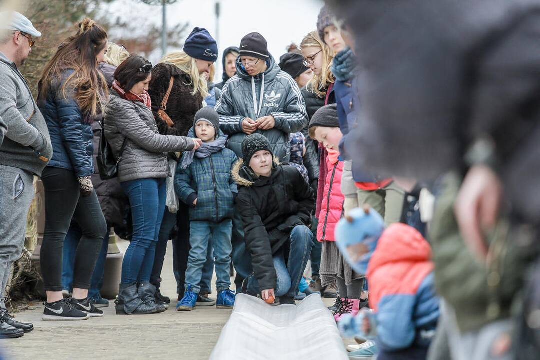 Margučių ridenimas