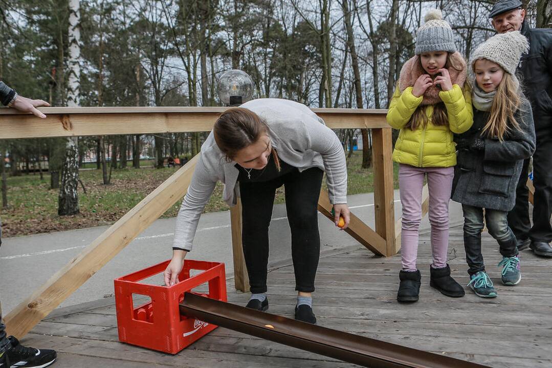 Margučių ridenimas