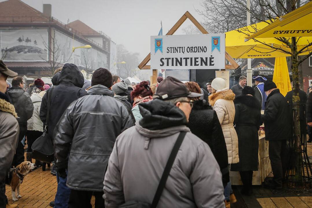 Palangos stinta 2017