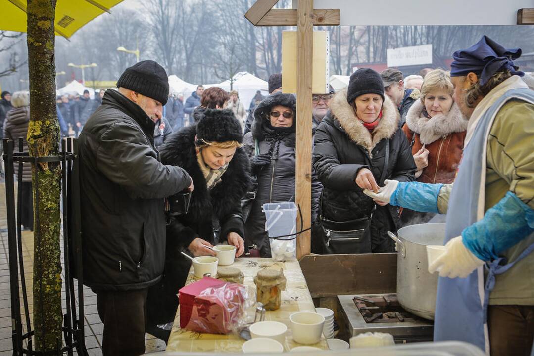 Palangos stinta 2017