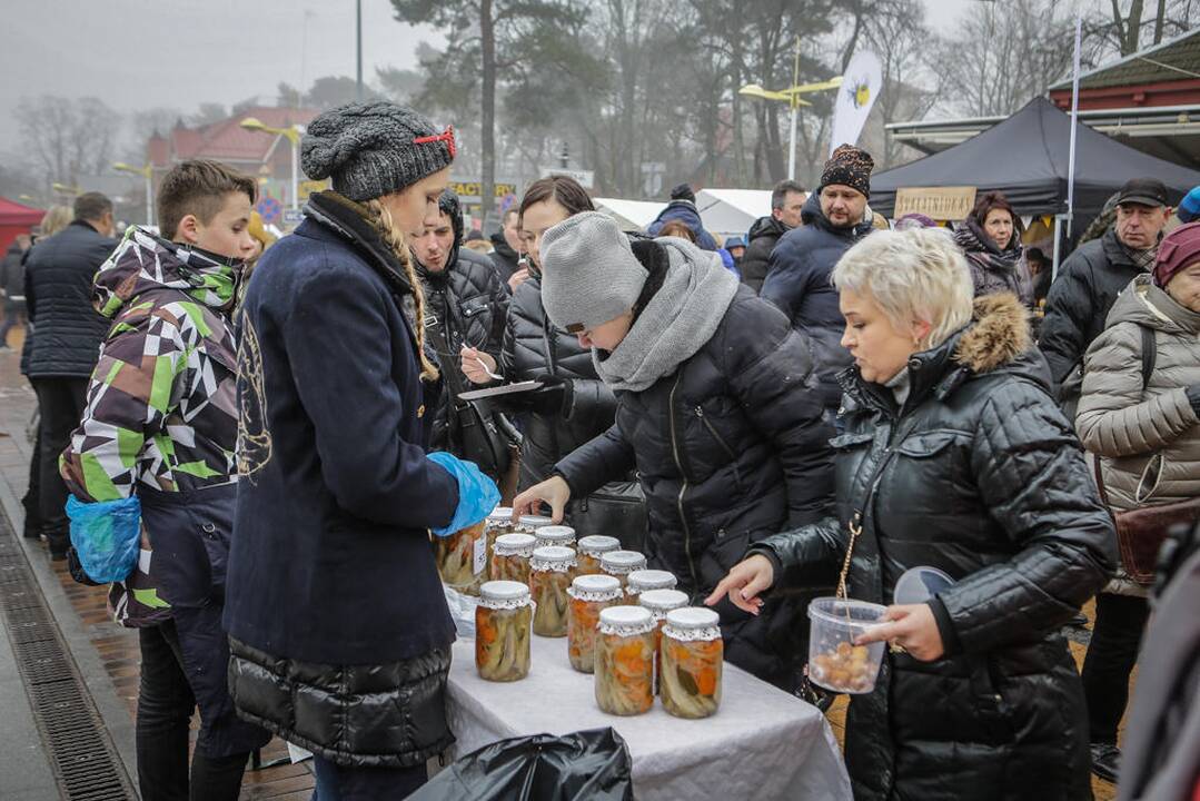 Palangos stinta 2017