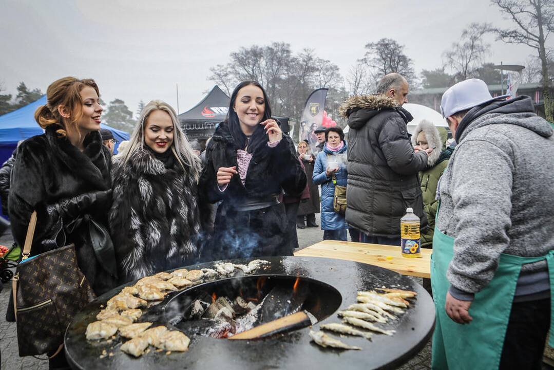 Palangos stinta 2017