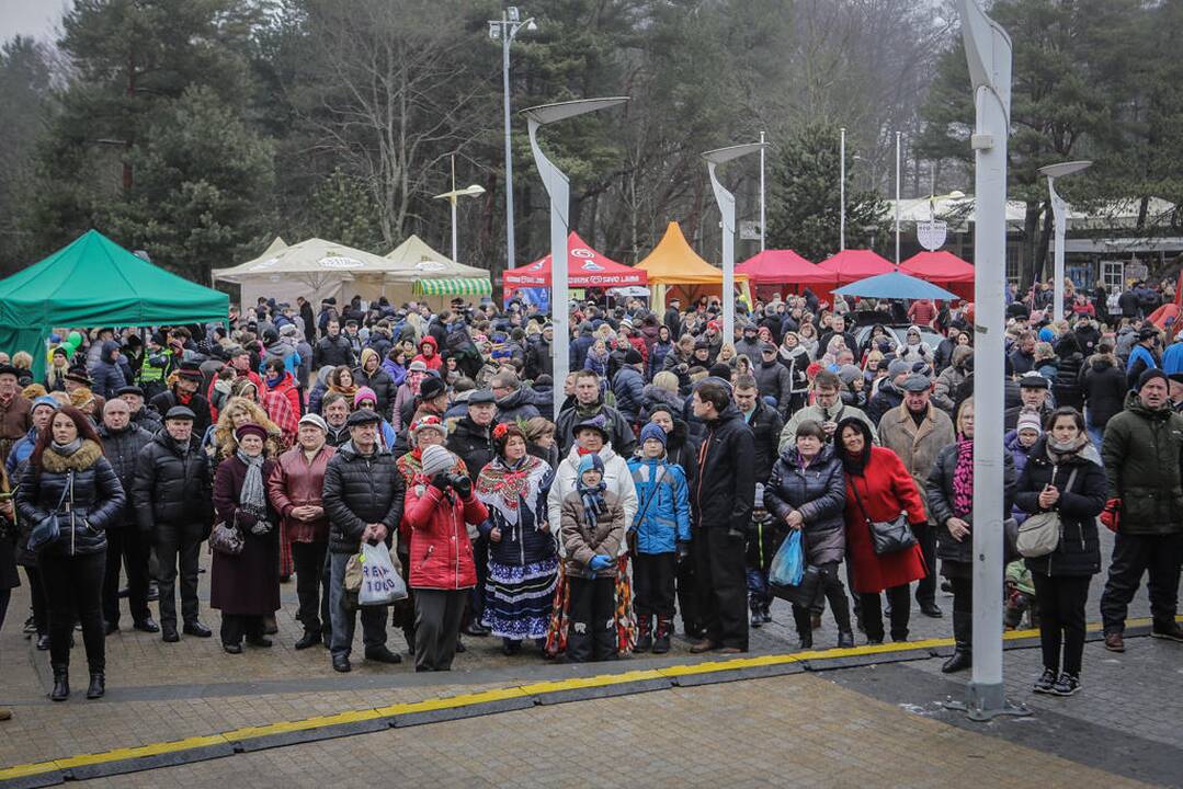 Palangos stinta 2017