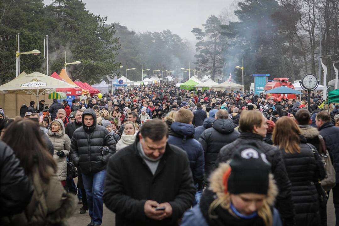 Palangos stinta 2017