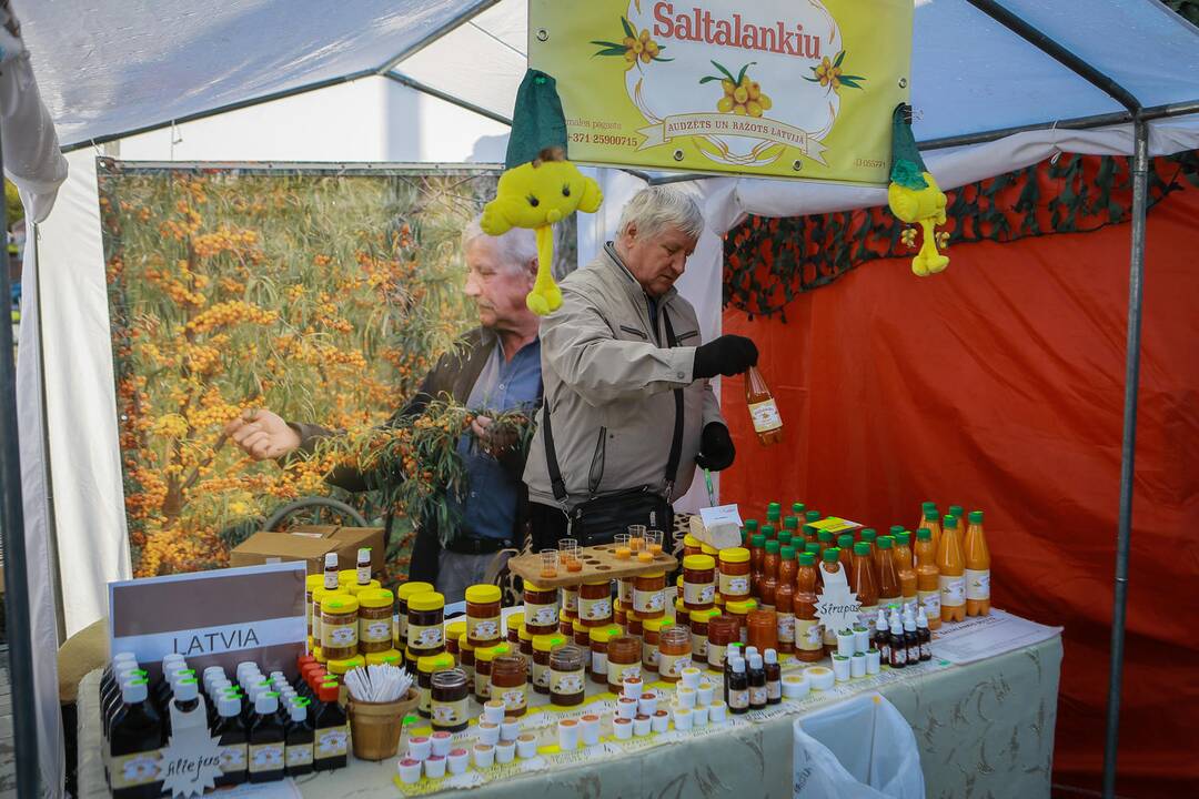 Mugė "Rudenautojai" Klaipėdoje