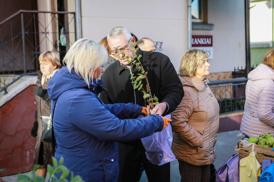 Mugė "Rudenautojai" Klaipėdoje