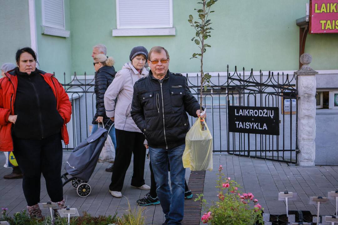 Mugė "Rudenautojai" Klaipėdoje