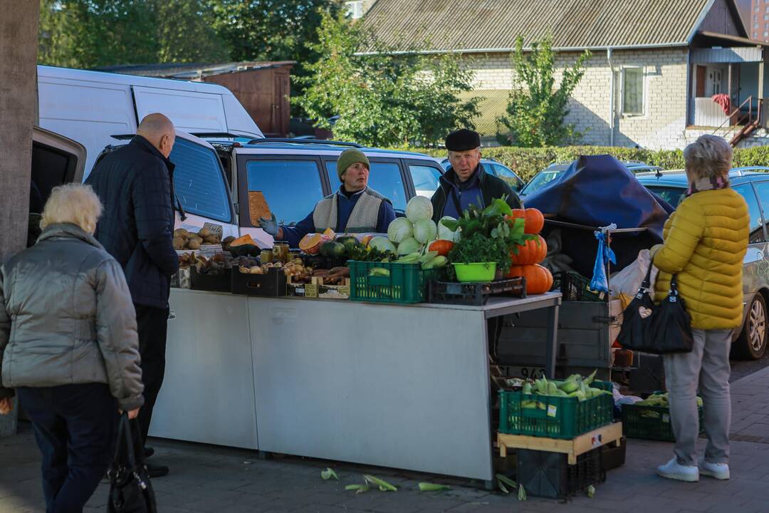 Mugė "Rudenautojai" Klaipėdoje