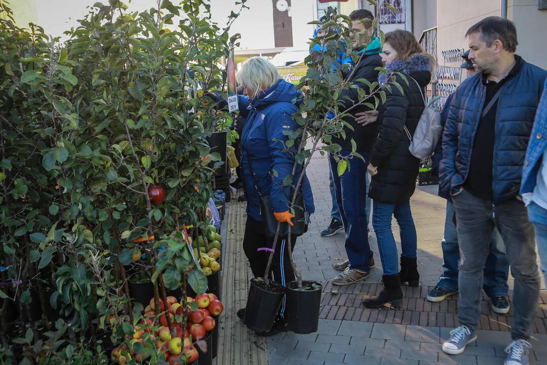 Mugė "Rudenautojai" Klaipėdoje