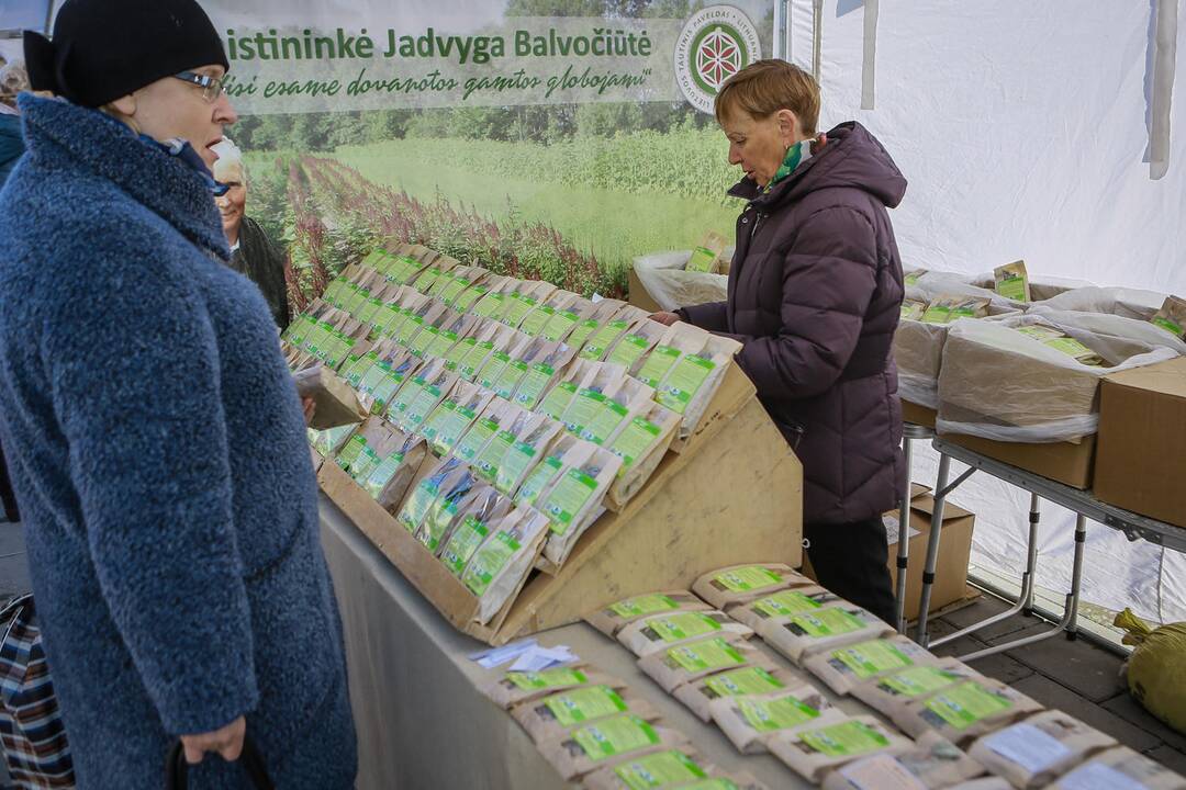 Mugė "Rudenautojai" Klaipėdoje