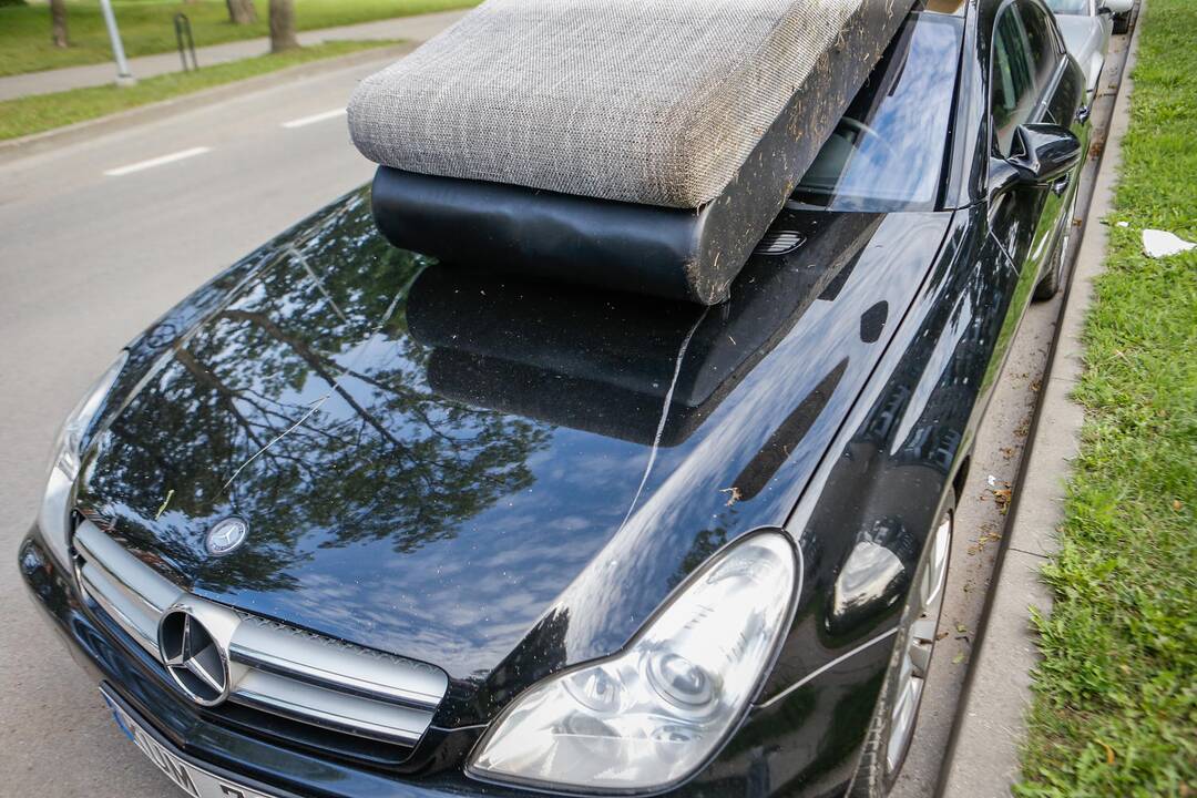 Sofa ant automobilio
