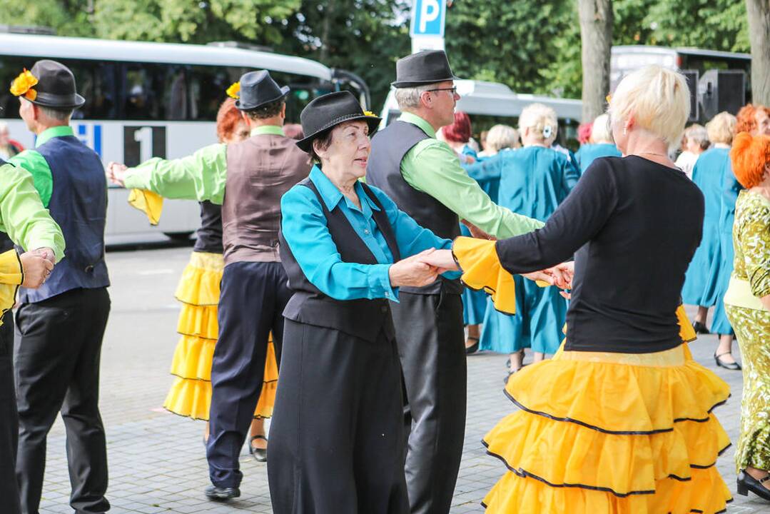 Šokių festivalis "Europos šokių pynė"