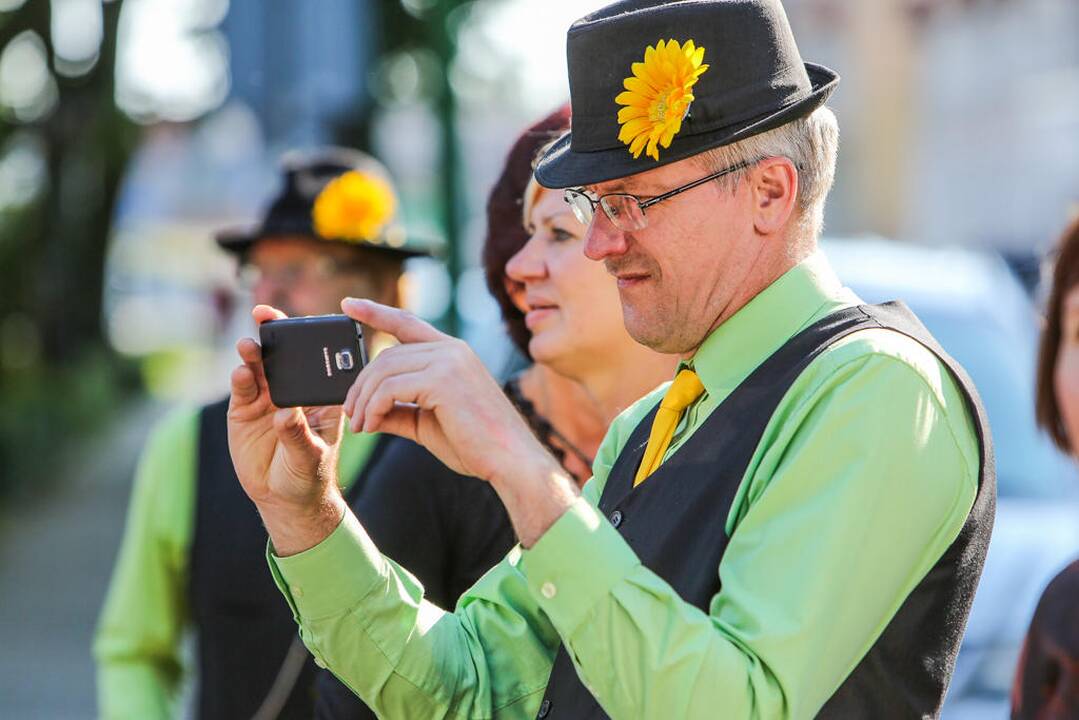 Šokių festivalis "Europos šokių pynė"